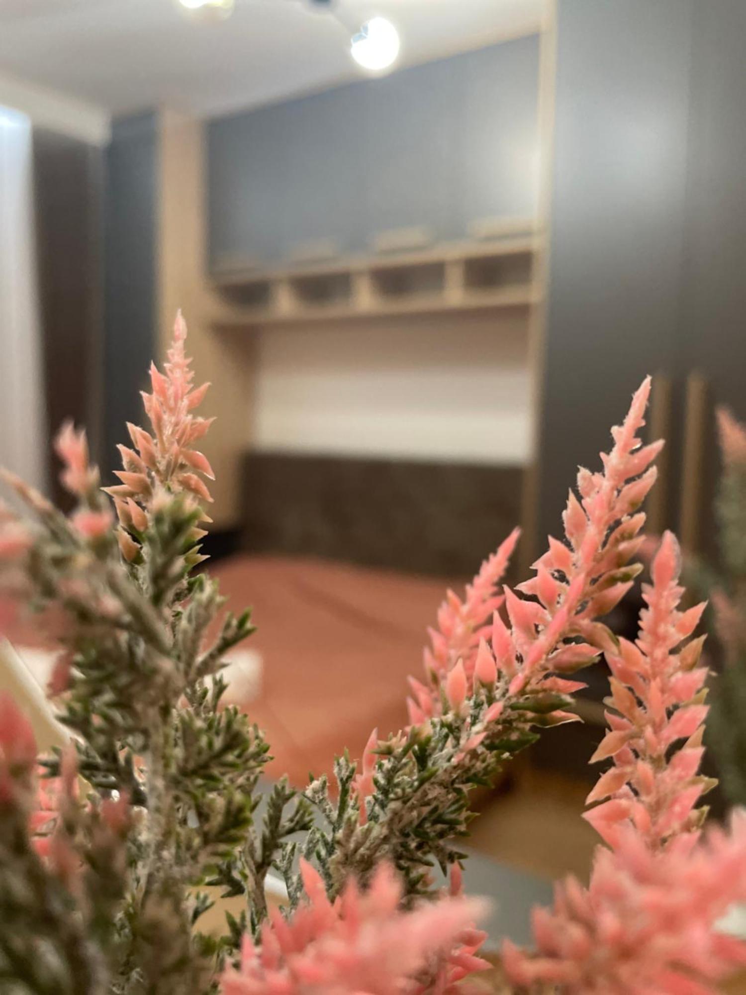 Daf Apartaments Приштина Екстер'єр фото